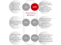 AMH - kluczowy hormon w badaniu rezerwy jajnikowej, marker płodności u obu płci. Schemat przedstawia powiązane hormony i wskaźniki.