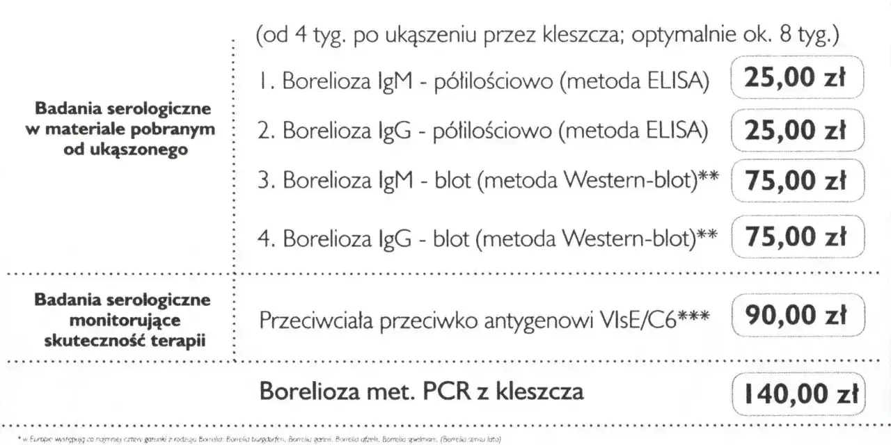 Oferta badań na boreliozę: testy ELISA i Western-blot z krwi, przeciwciała VlsE/C6 oraz PCR z kleszcza.