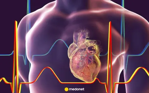 Anatomical serce, widoczne na tle wykresów EKG, znajduje się po lewej stronie klatki piersiowej.