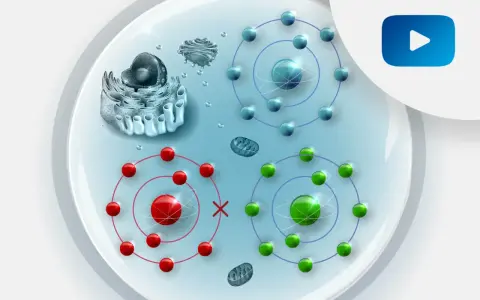 Komórka z organellami i atomami. Czerwone atomy symbolizują stres oksydacyjny, zielone i niebieskie zdrowe.