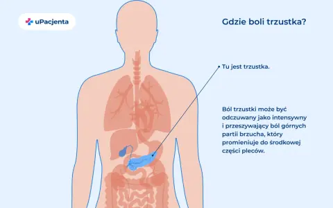 Ilustracja pokazuje ludzkie ciało z zaznaczonymi narządami. Wskazuje, gdzie jest trzustka, organ odpowiedzialny za trawienie i produkcję hormonów.