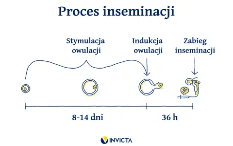 Schemat procesu inseminacji: od stymulacji owulacji (8-14 dni), przez indukcję owulacji, do zabiegu inseminacji (36 h).