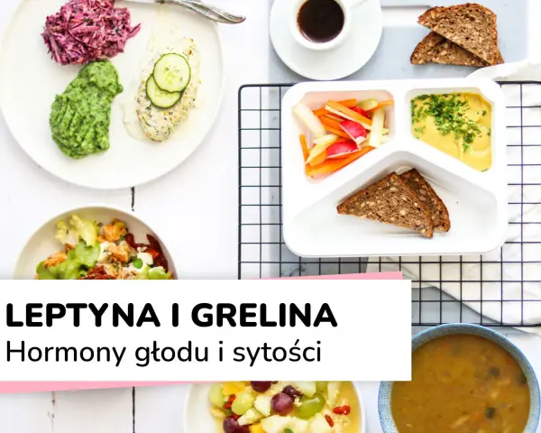 Zdrowe posiłki, które wpływają na hormony głodu i sytości, jak grelina. Dania z kurczakiem, warzywami i pieczywem.