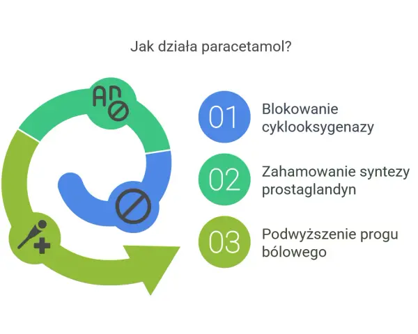 Schemat działania paracetamolu: blokowanie cyklooksygenazy, hamowanie syntezy prostaglandyn, podwyższenie progu bólowego.