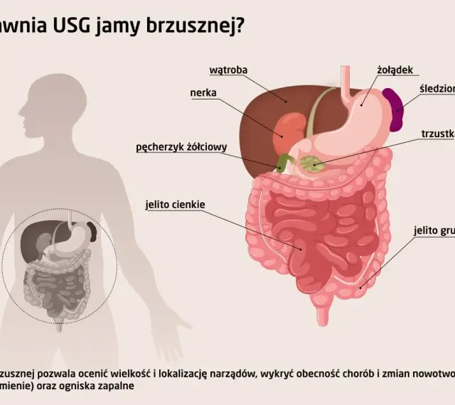 USG jamy brzusznej co wykrywa? Ilustracja pokazuje narządy jamy brzusznej: wątrobę, nerki, żołądek, jelita, trzustkę, śledzionę, pęcherzyk żółciowy.