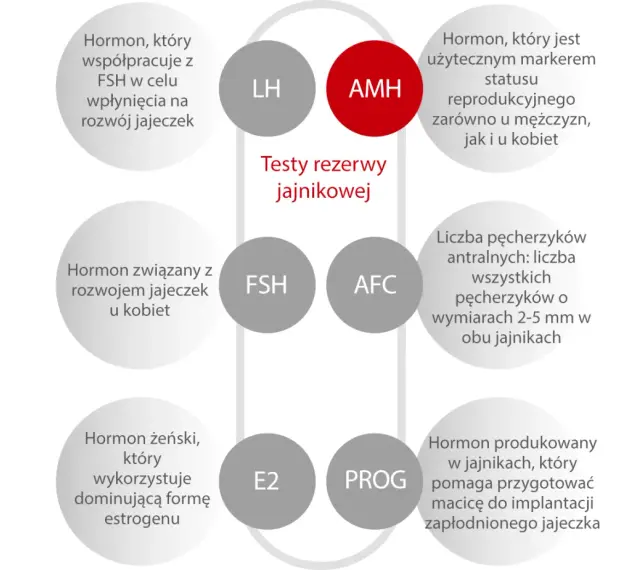 AMH - kluczowy hormon w badaniu rezerwy jajnikowej, marker płodności u obu płci. Schemat przedstawia powiązane hormony i wskaźniki.