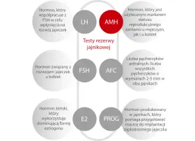 AMH - kluczowy hormon w badaniu rezerwy jajnikowej, marker płodności u obu płci. Schemat przedstawia powiązane hormony i wskaźniki.