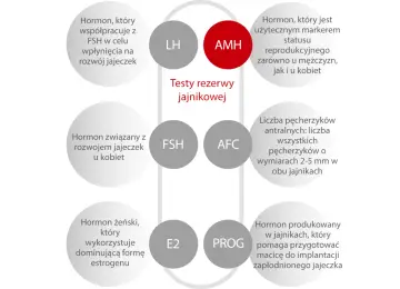 AMH - kluczowy hormon w badaniu rezerwy jajnikowej, marker płodności u obu płci. Schemat przedstawia powiązane hormony i wskaźniki.