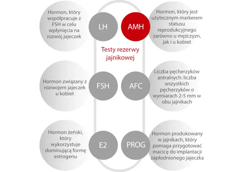 AMH - kluczowy hormon w badaniu rezerwy jajnikowej, marker płodności u obu płci. Schemat przedstawia powiązane hormony i wskaźniki.